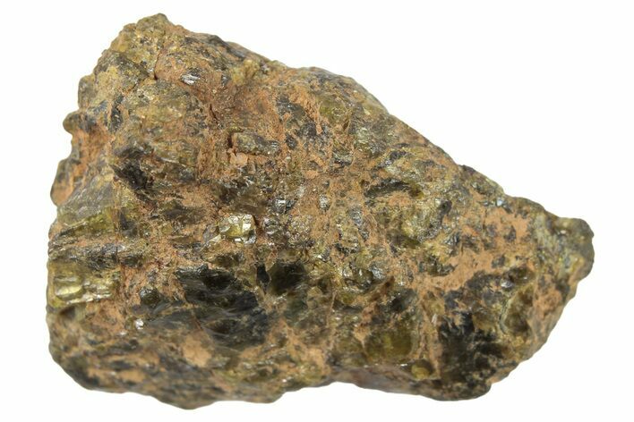 Diogenite Meteorite ( g) Fragment - From Vesta Micro-Planet! #266173